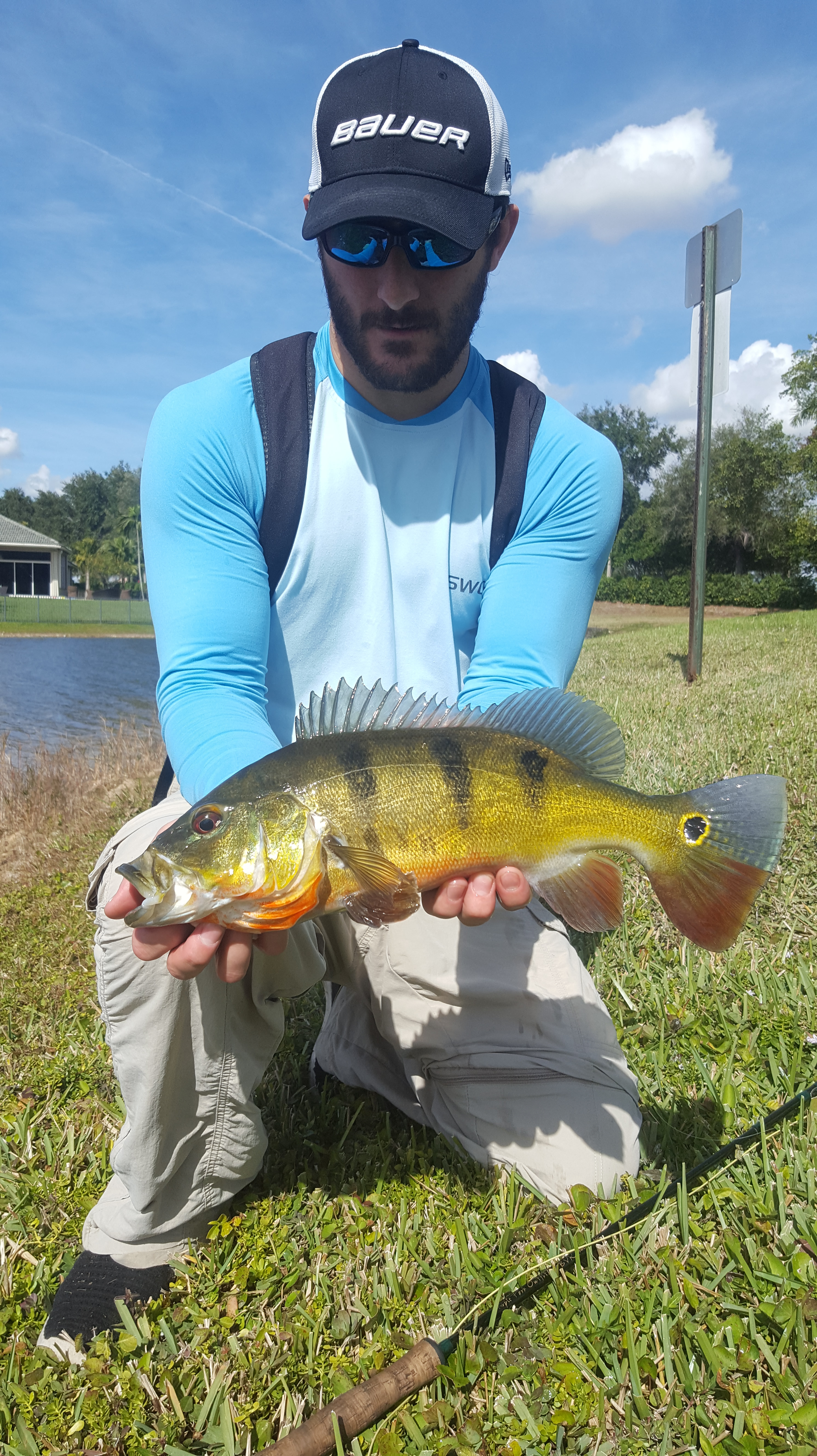 Fly Fishing for BIG Peacock Bass in South Florida 
