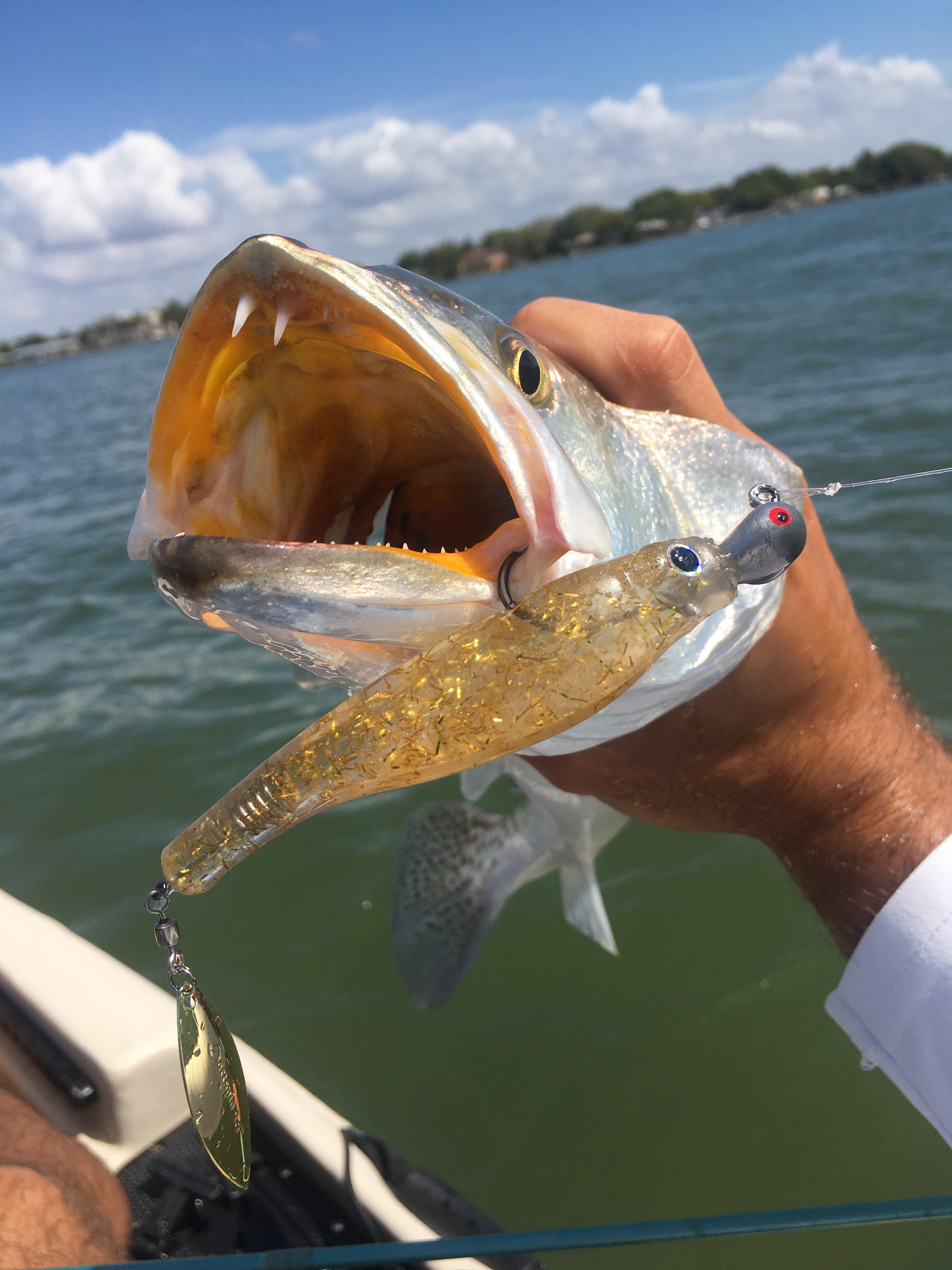 What Are the Best Saltwater Lures for Redfish?