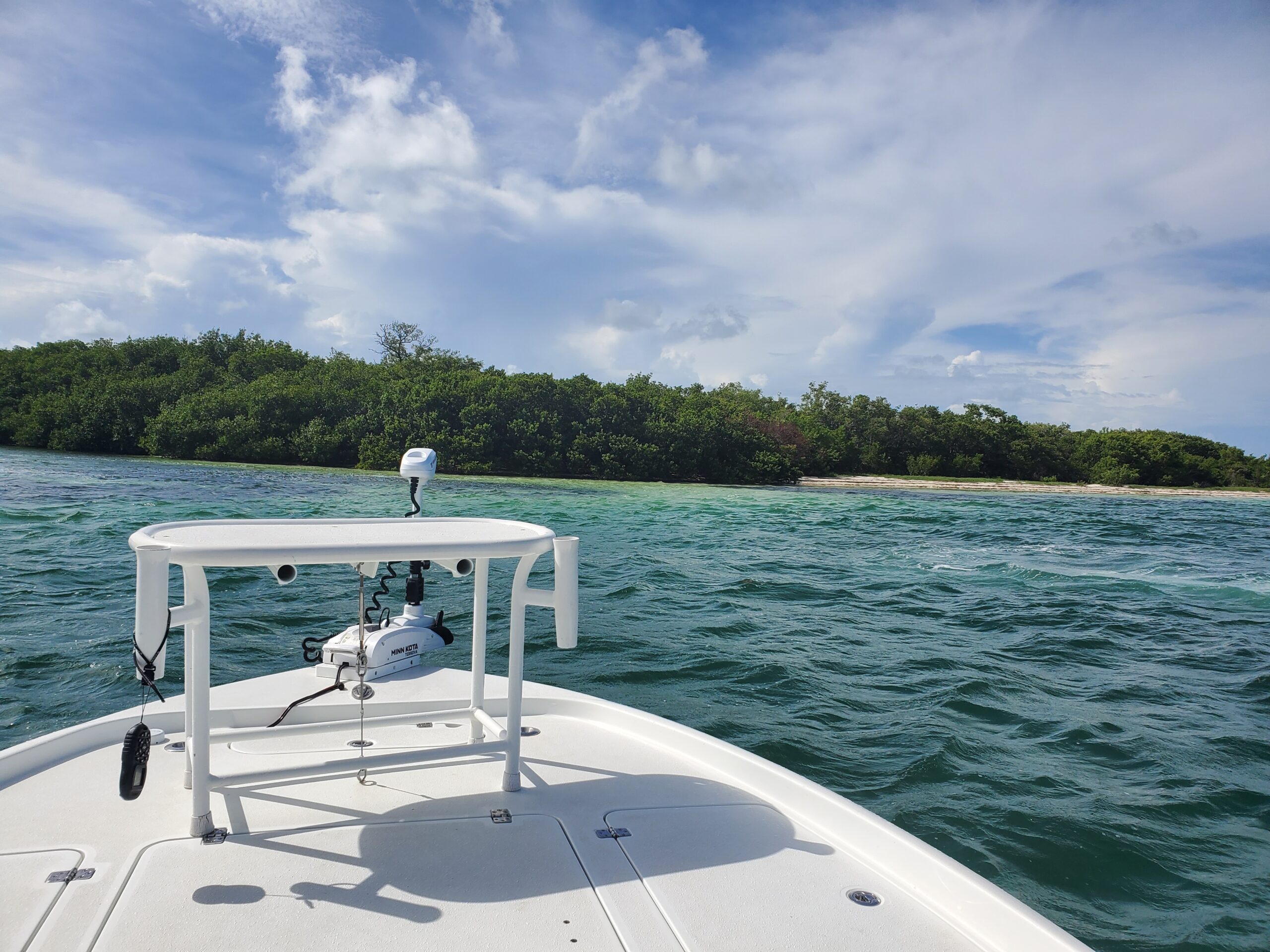 A Key West mangrove lined shoreline 