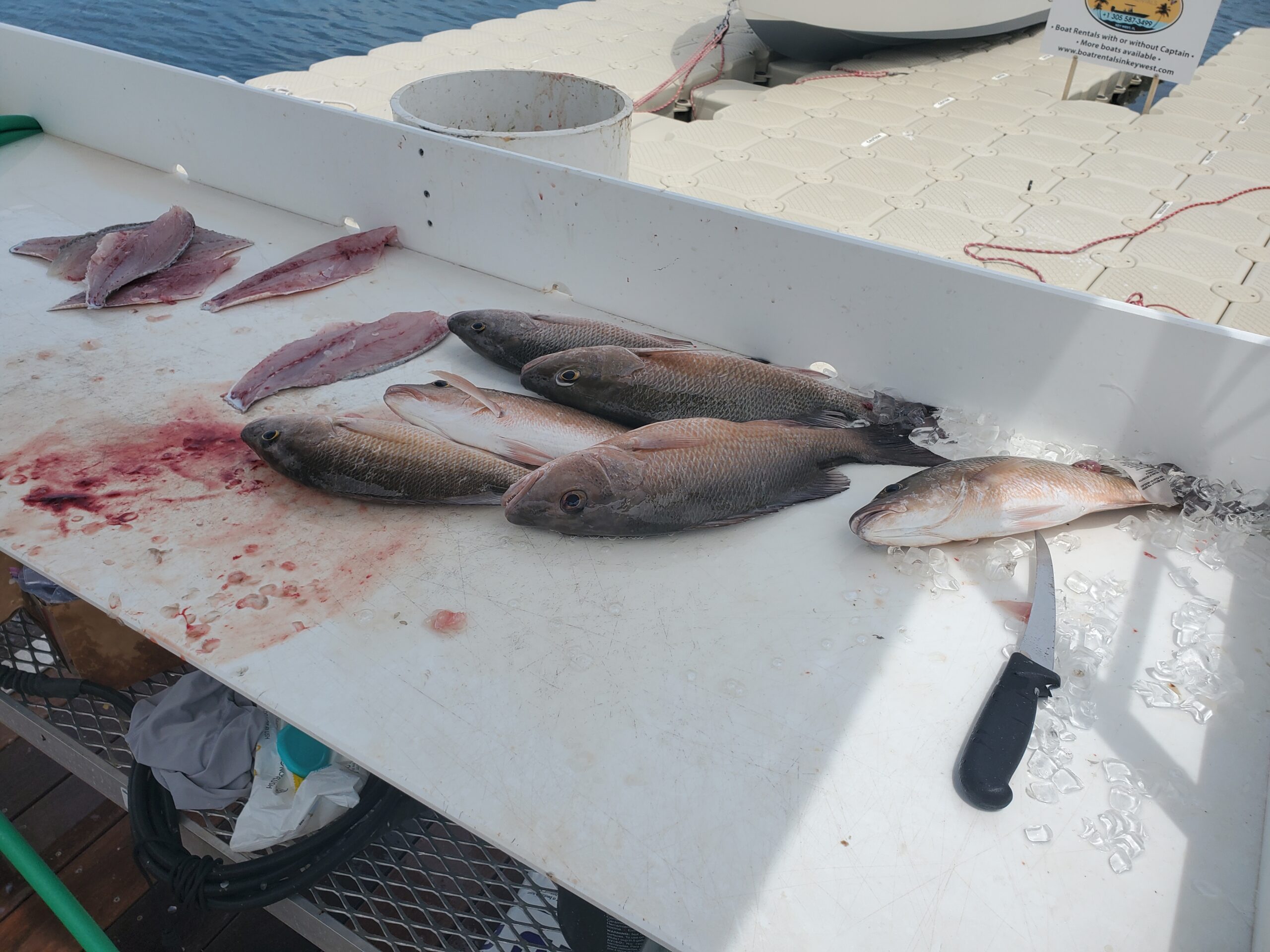 snappers on a filet table in Key West