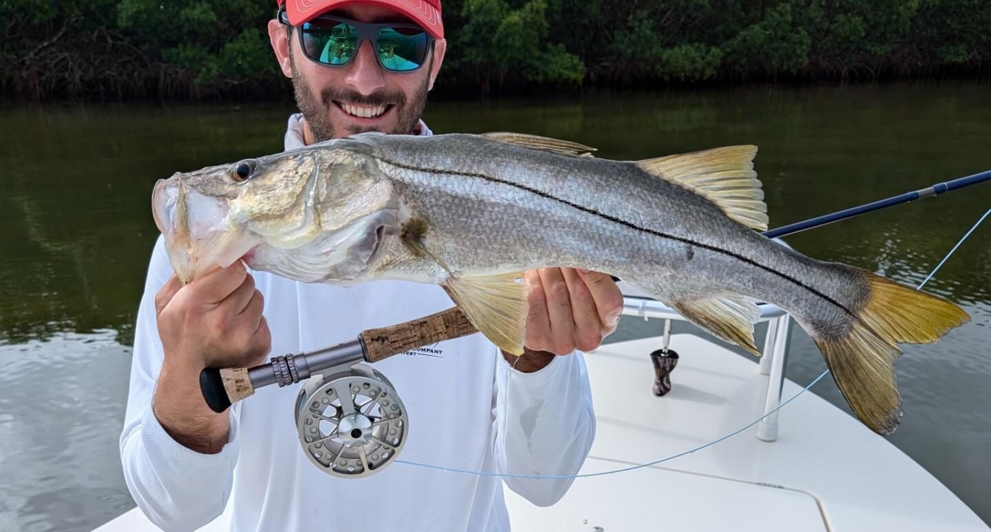 Healthy Tampa Bay Snook