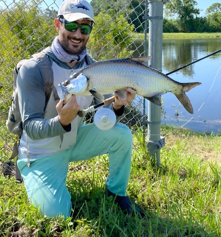 Tamiami Trail Tarpon